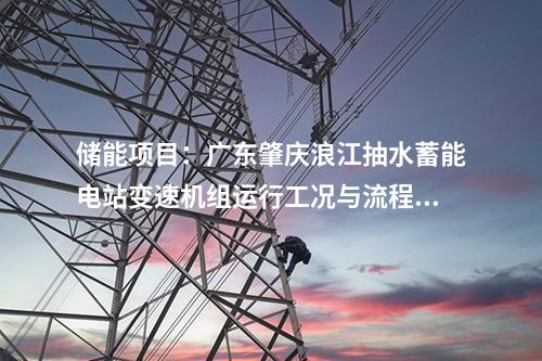 儲能項目：廣東肇慶浪江抽水蓄能電站變速機組運行工況與流程設計專題會議順利召開