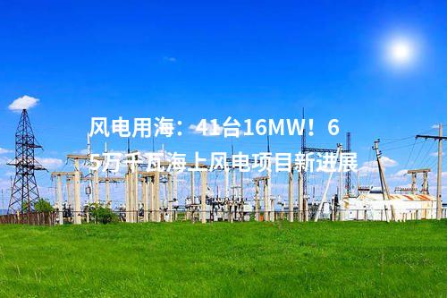 風電用海：41臺16MW！65萬千瓦海上風電項目新進展