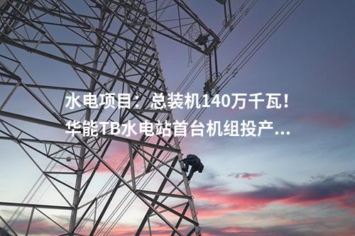 水電項目：總裝機140萬千瓦！華能TB水電站首臺機組投產(chǎn)發(fā)電
