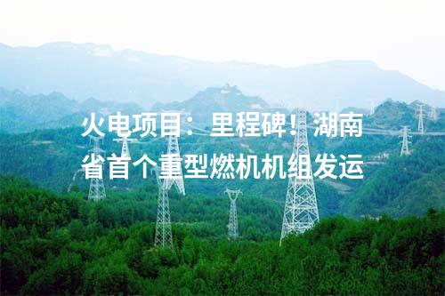 水電項(xiàng)目：總裝機(jī)1050MW！貴州烏江思林水電站順利通過(guò)工程竣工驗(yàn)收