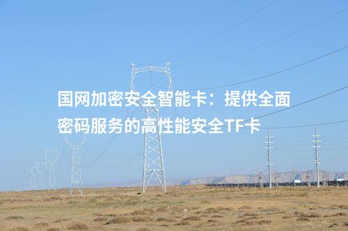 國(guó)網(wǎng)加密安全智能卡:提供全面密碼服務(wù)的高性能安全TF卡