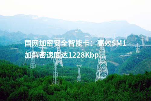 國網加密安全智能卡：高效SM1加解密速度達1228Kbps/s的安全TF卡