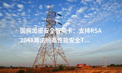 國網(wǎng)加密安全智能卡:支持RSA2048算法的高性能安全TF卡