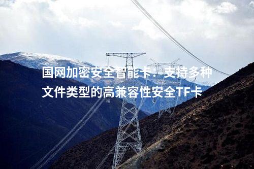 國(guó)網(wǎng)加密安全智能卡:支持多種文件類型的高兼容性安全TF卡