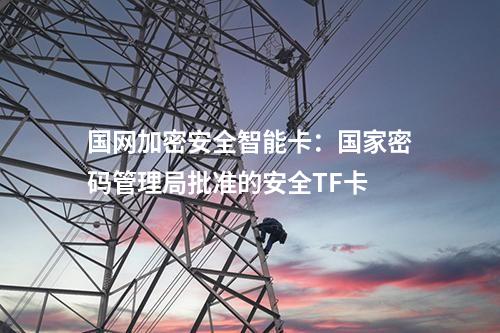 國網(wǎng)加密安全智能卡：國家密碼管理局批準(zhǔn)的安全TF卡