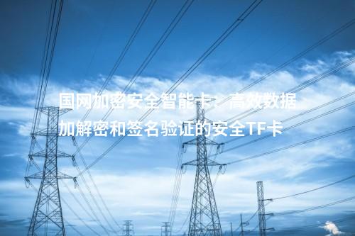 國網(wǎng)加密安全智能卡:高效數(shù)據(jù)加解密和簽名驗(yàn)證的安全TF卡