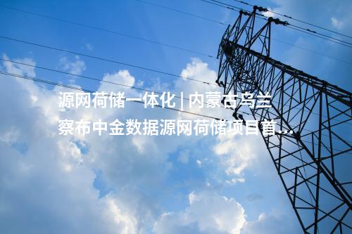 源網(wǎng)荷儲一體化 | 內(nèi)蒙古烏蘭察布中金數(shù)據(jù)源網(wǎng)荷儲項目首臺風機基礎完成澆筑