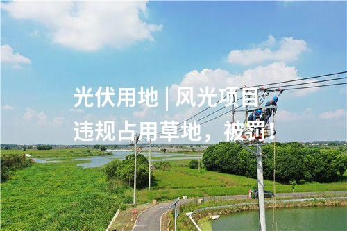 光伏用地 | 風(fēng)光項目違規(guī)占用草地，被罰！