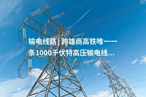 工商業(yè)儲能 | 園區(qū)最大用戶側(cè)儲能項目并網(wǎng)