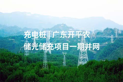 抽水蓄能電站 | 浙江松陽(yáng)抽蓄電站機(jī)組第二次設(shè)計(jì)聯(lián)絡(luò)會(huì)召開(kāi)