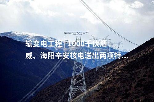 輸變電工程 | 1000千伏煙威、海陽辛安核電送出兩項(xiàng)特高壓工程獲得核準(zhǔn)