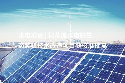 異質結組件 | 5GW高效異質結組件首件下線！