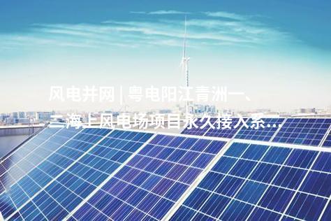 抽水蓄能電站 | 湖北南漳、湖北清江抽蓄電站機組第一次設計聯(lián)絡會召開