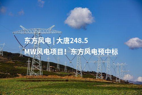 東方風(fēng)電 | 大唐248.5MW風(fēng)電項目！東方風(fēng)電預(yù)中標(biāo)