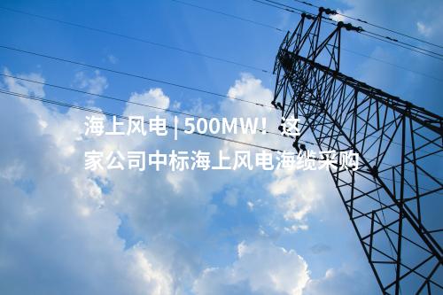 海上風(fēng)電 | 500MW！這家公司中標(biāo)海上風(fēng)電海纜采購(gòu)