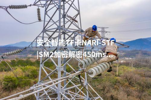 安全智能TF卡NARI-STF|SM2加密解密450ms/次、260ms/次