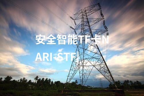 安全智能TF卡NARI-STF|安全TF卡提供了多層防護功能