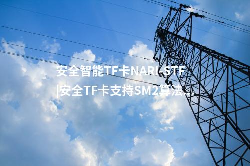 安全智能TF卡NARI-STF|安全TF卡支持SM2算法的簽名驗(yàn)證