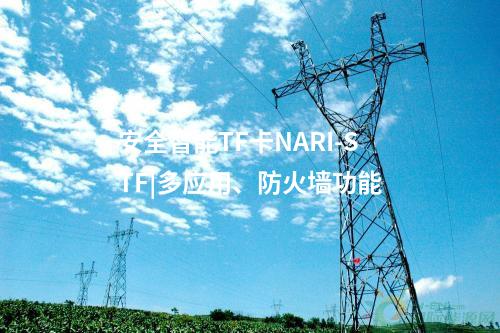 安全智能TF卡NARI-STF|多應(yīng)用、防火墻功能