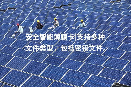 安全智能薄膜卡|安全智能薄膜卡支持數(shù)字證書功能。