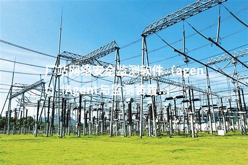 廠站網(wǎng)絡(luò)安全監(jiān)測軟件(agent)處理結(jié)果通過通信手段發(fā)送到調(diào)度機構(gòu)。