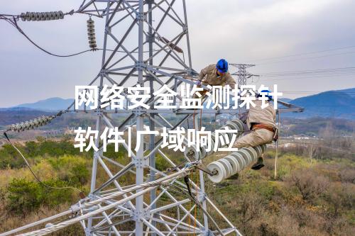 網(wǎng)絡(luò)安全監(jiān)測探針軟件|廣域響應(yīng)