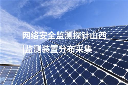 網(wǎng)絡(luò)安全監(jiān)測探針山西|監(jiān)測裝置分布采集