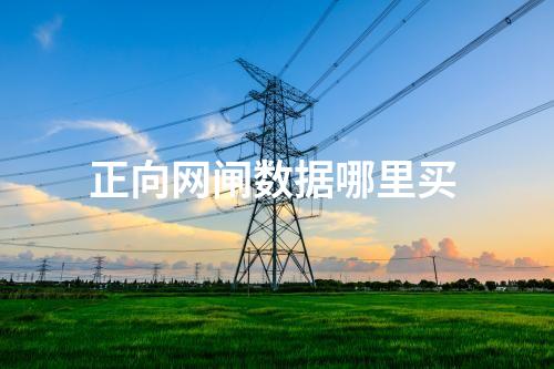 正向網(wǎng)閘數(shù)據(jù)哪里買