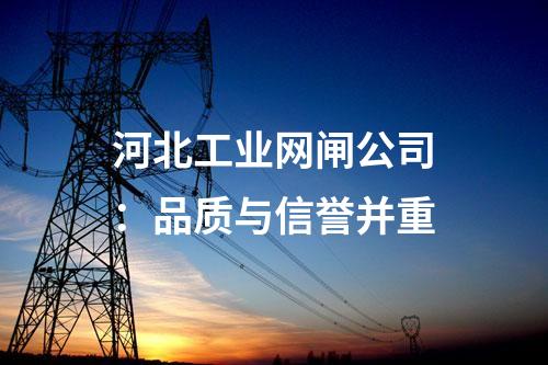 工業(yè)網(wǎng)閘報價:價格因素分析與預算建議