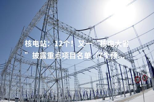 核電站:12個(gè)!又一“核電大省”披露重點(diǎn)項(xiàng)目名單(7個(gè)預(yù)備項(xiàng)目)