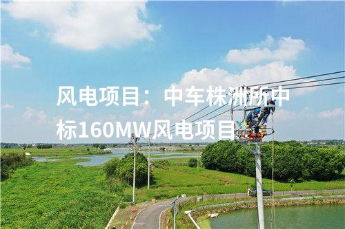 輸電線路:±800千伏祁韶直流輸電工程年度外送電量突破100億千瓦時(shí)